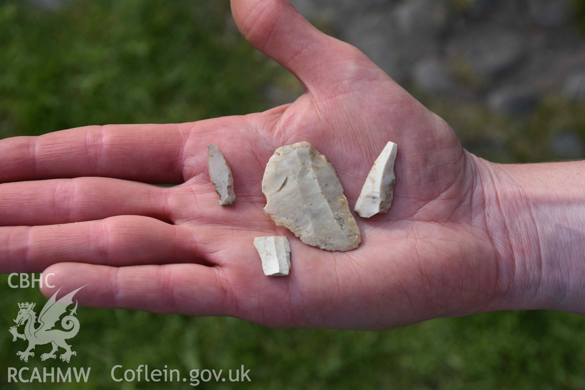 Henllwyn mesolithic flint finds, May 2018.