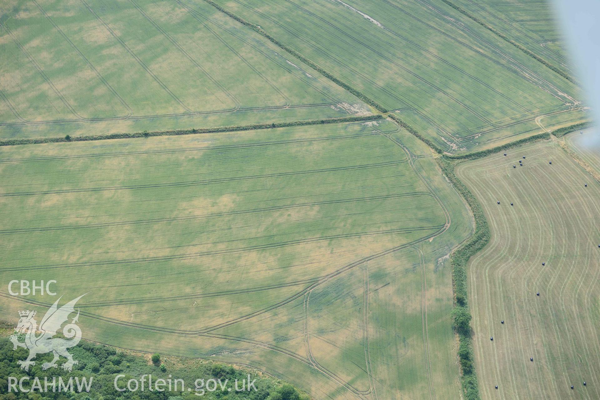 RCAHMW colour oblique aerial photograph of Pant y rhedyn enclosure, Mathry taken on 11 July 2018 by Toby Driver