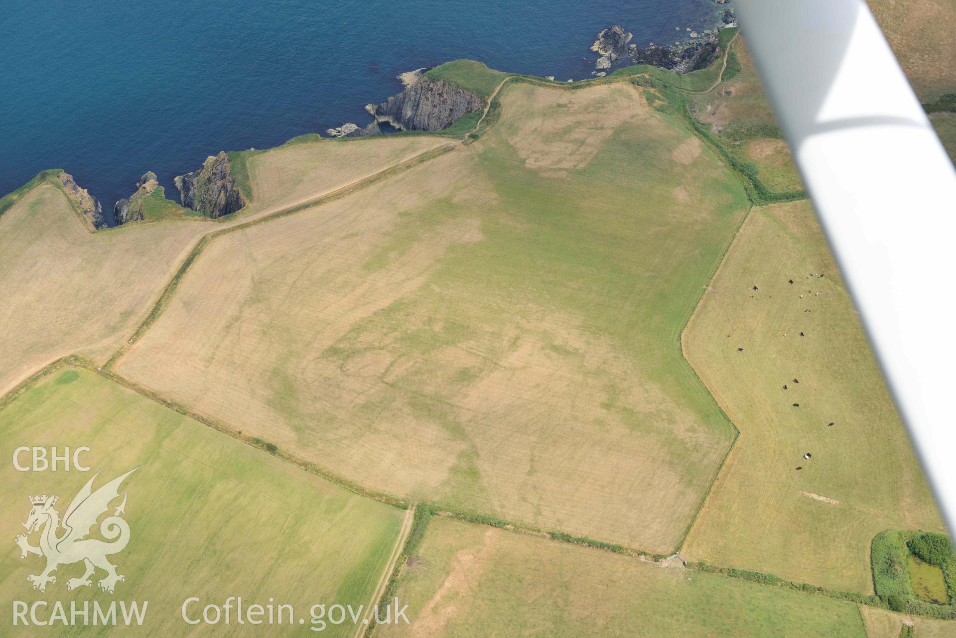 RCAHMW colour oblique aerial photograph of Henllys Porthgain enclosure cropmark taken on 11 July 2018 by Toby Driver