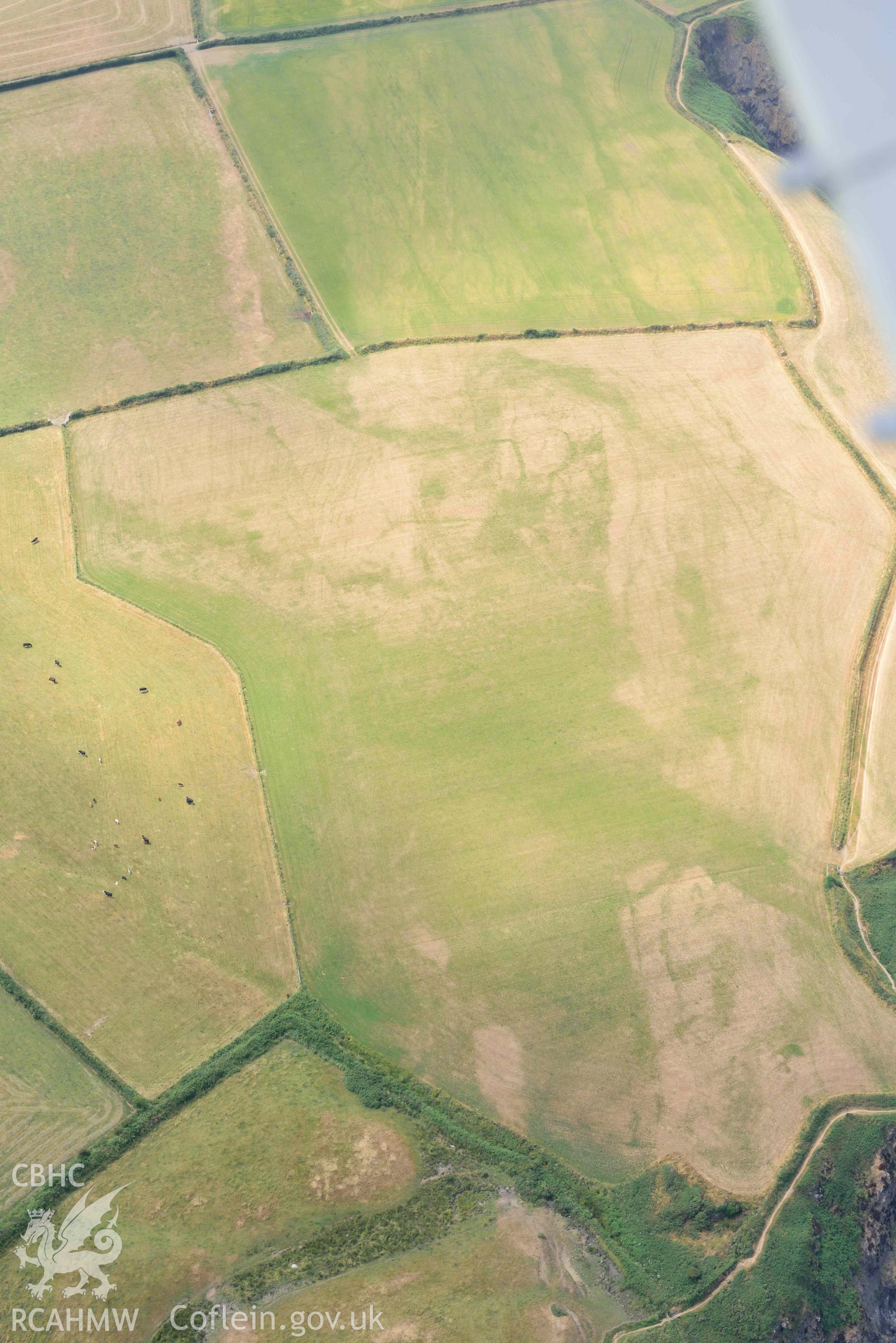 RCAHMW colour oblique aerial photograph of Henllys Porthgain enclosure cropmark taken on 11 July 2018 by Toby Driver