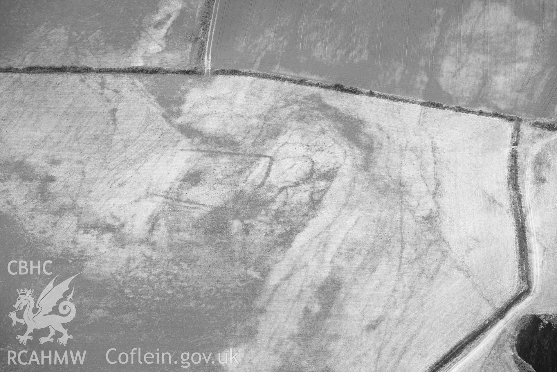 RCAHMW black and white oblique aerial photograph of Henllys Porthgain enclosure cropmark taken on 11 July 2018 by Toby Driver