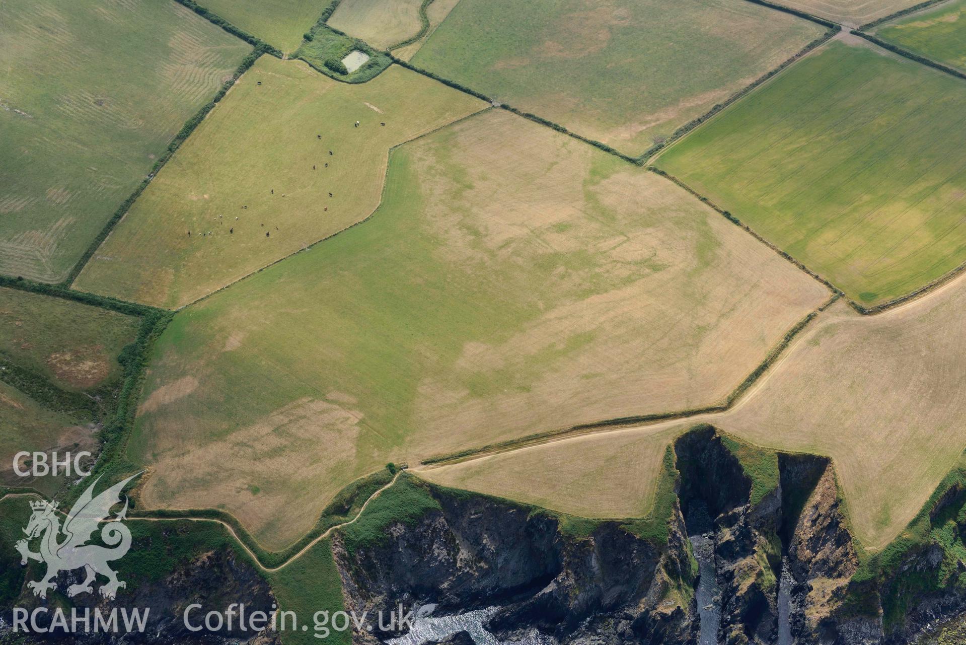 RCAHMW colour oblique aerial photograph of Henllys Porthgain enclosure cropmark taken on 11 July 2018 by Toby Driver