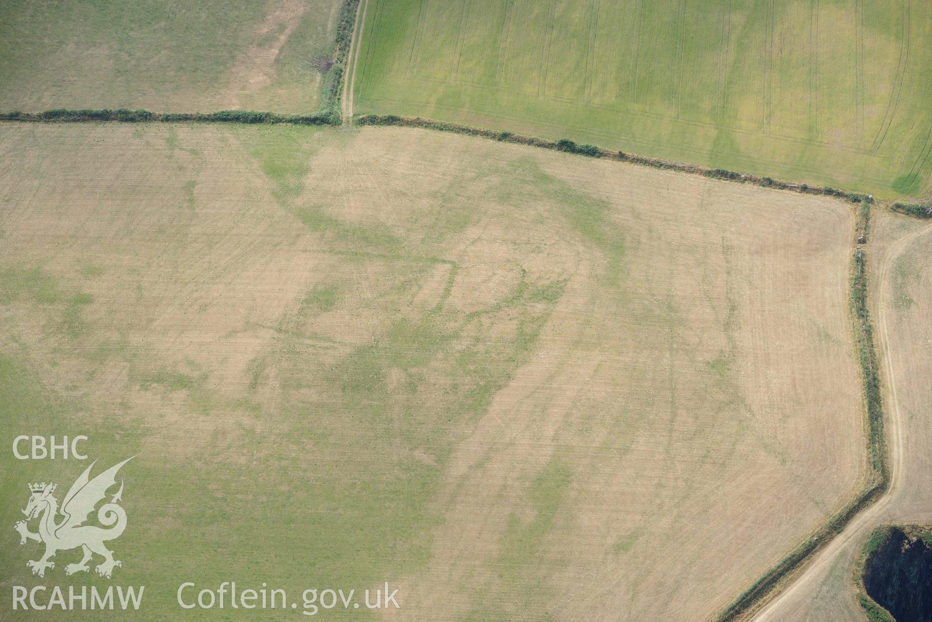 RCAHMW colour oblique aerial photograph of Henllys Porthgain enclosure cropmark taken on 11 July 2018 by Toby Driver