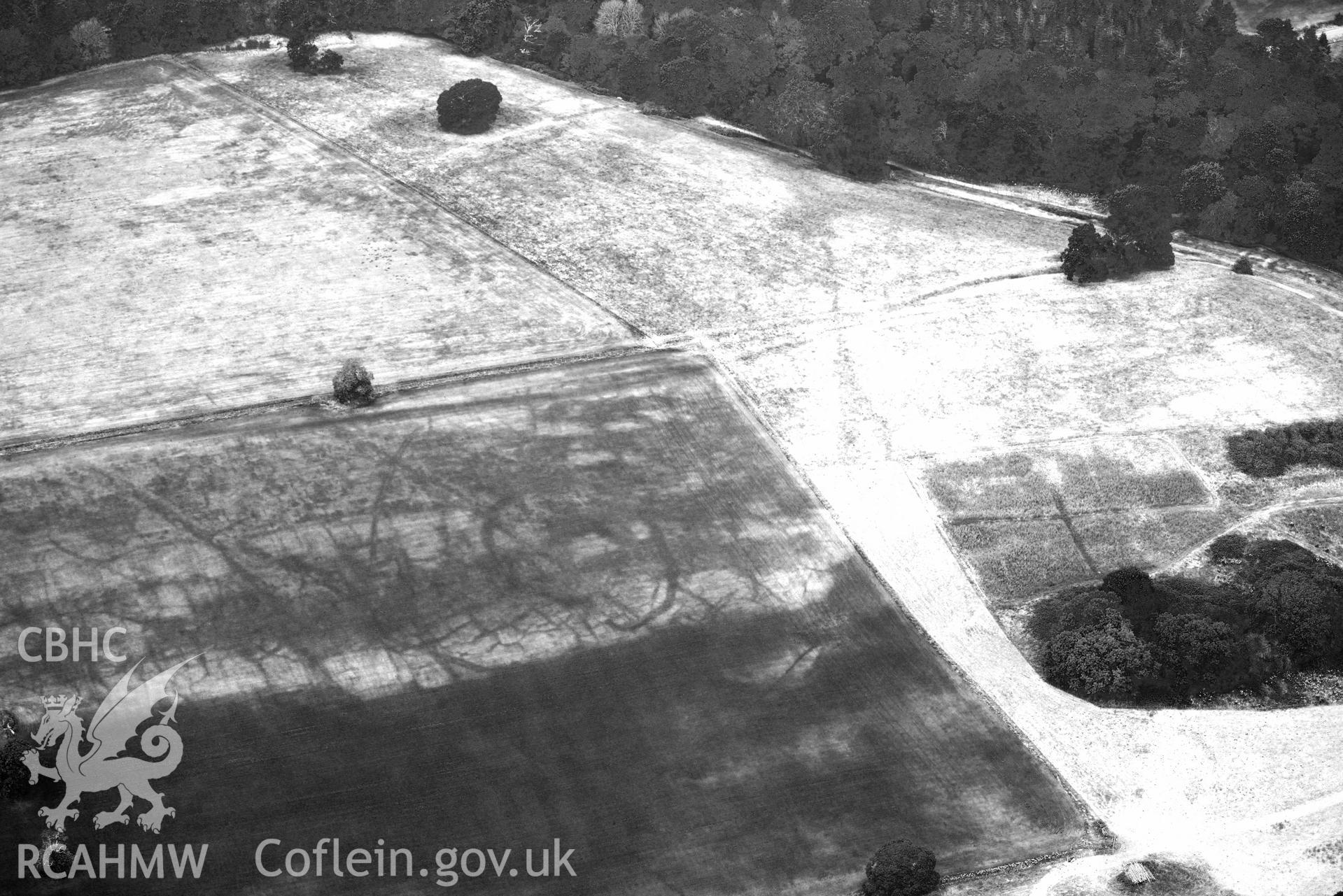 RCAHMW black and white oblique aerial photograph of Slebech Park cropmark enclosure taken on 11 July 2018 by Toby Driver