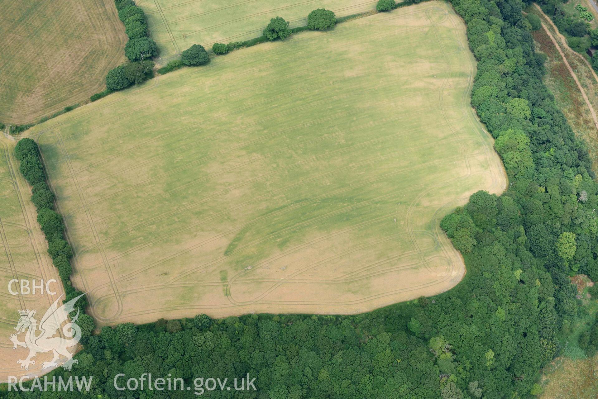 RCAHMW colour oblique aerial photograph of Berry Hill Wood, Inland Promontory Fort taken on 11 July 2018 by Toby Driver