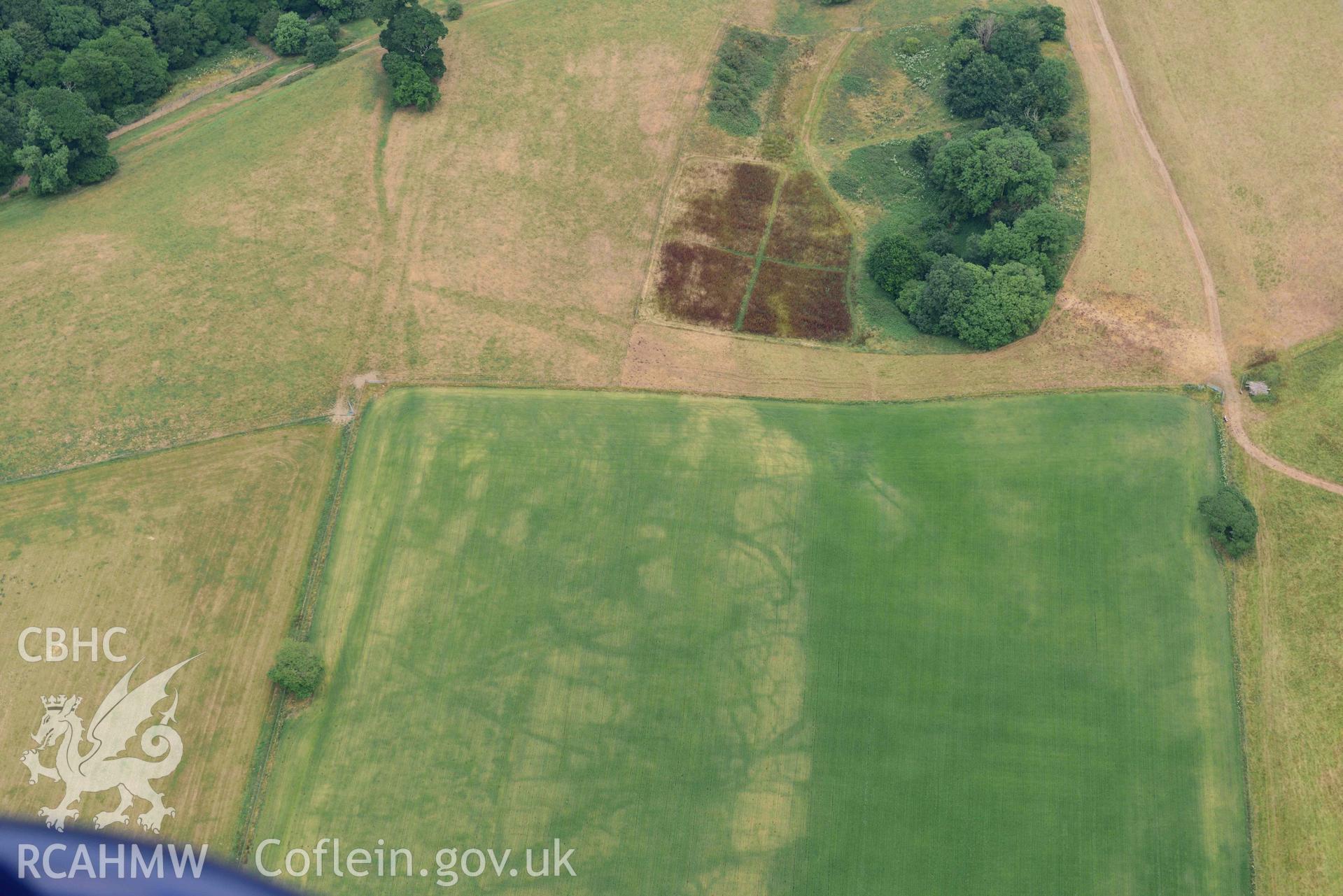 RCAHMW colour oblique aerial photograph of Slebech Park cropmark enclosure taken on 11 July 2018 by Toby Driver