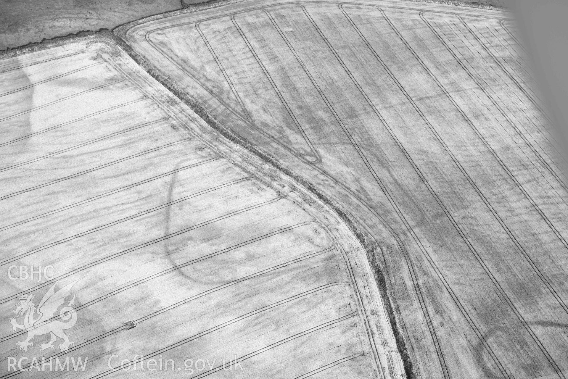 RCAHMW colour oblique aerial photograph of Paviland Manor, cropmark complex; SE polygonal enclosure and linear ditches taken on 17 July 2018 by Toby Driver (NGR: SS449861)