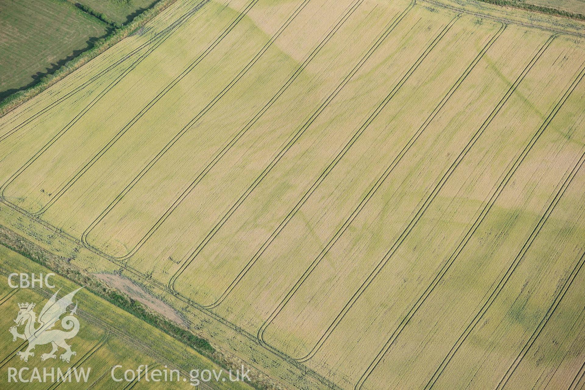 RCAHMW black and white oblique aerial photograph of Paviland Manor, cropmark complex; polygonal enclosure taken on 17 July 2018 by Toby Driver (NGR: SS449863)