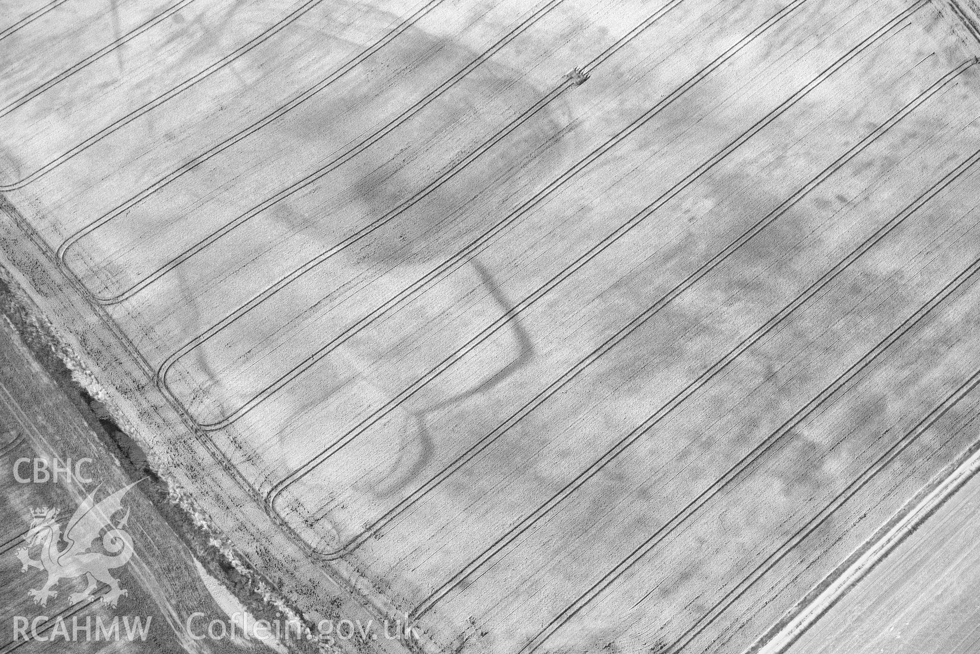 RCAHMW colour oblique aerial photograph of Paviland Manor, cropmark complex; NW polygonal enclosure taken on 17 July 2018 by Toby Driver (NGR: SS448863)