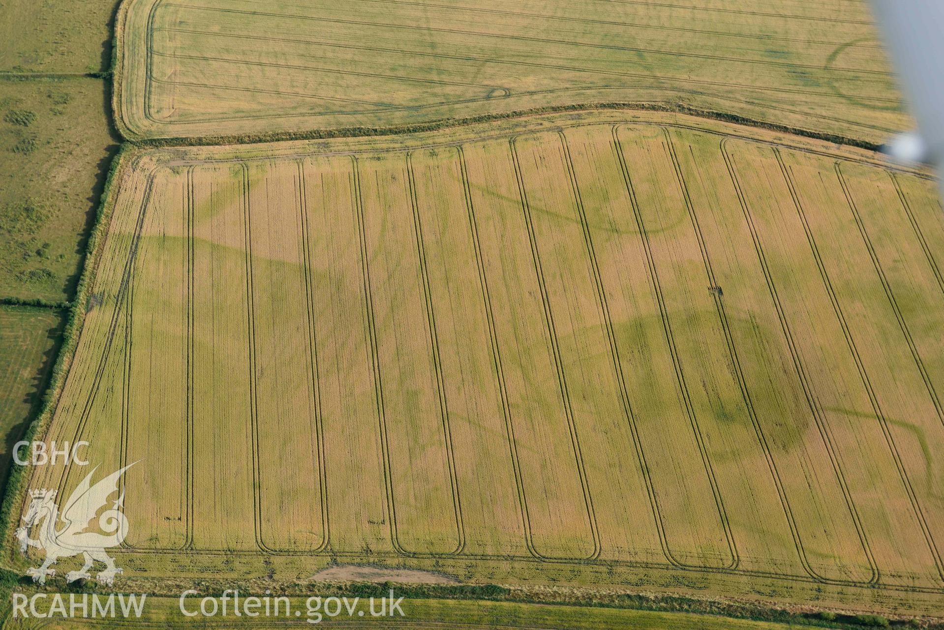 RCAHMW colour oblique aerial photograph of Paviland Manor, cropmark complex; view from NE taken on 17 July 2018 by Toby Driver (NGR: SS449863)