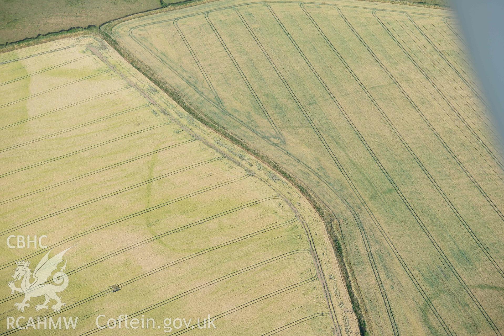 RCAHMW black and white oblique aerial photograph of Paviland Manor, cropmark complex; SE polygonal enclosure and linear ditches taken on 17 July 2018 by Toby Driver (NGR: SS449861)