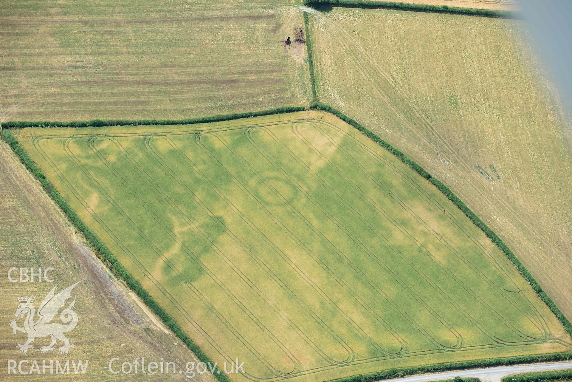 RCAHMW colour oblique aerial photograph of Rough close ring ditch taken on 9 July 2018 by Toby Driver