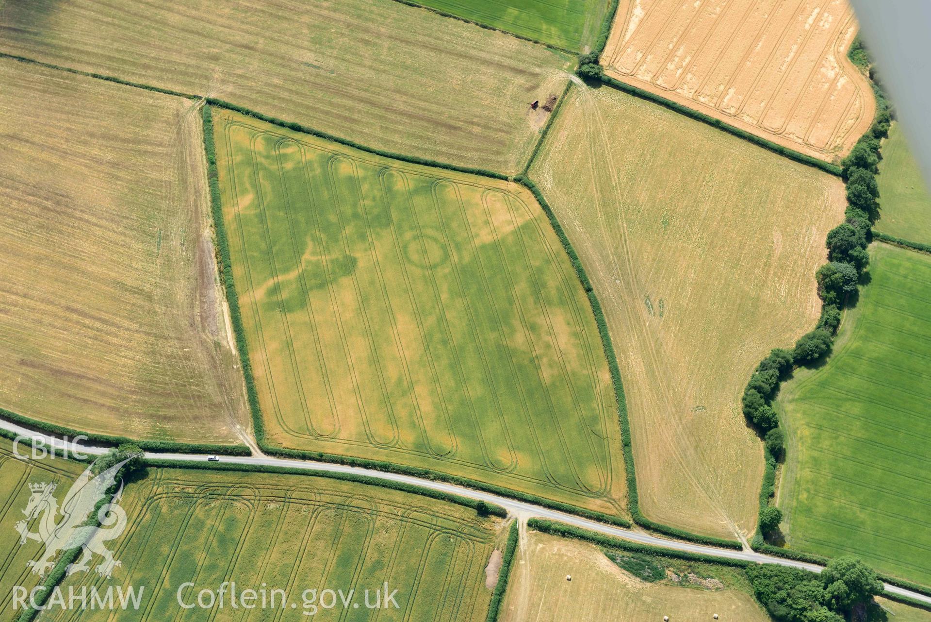 RCAHMW black and white oblique aerial photograph of Rough close ring ditch taken on 9 July 2018 by Toby Driver