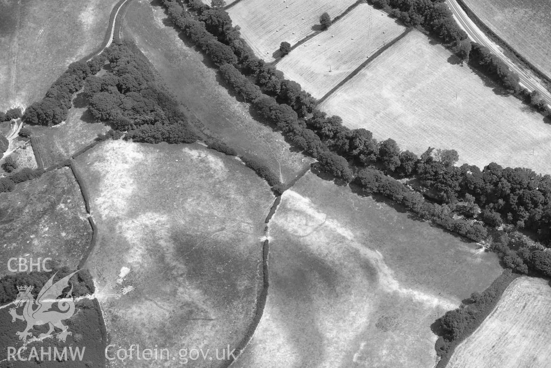 RCAHMW black and white oblique aerial photograph of Pont y commin cropmark enclosure taken on 9 July 2018 by Toby Driver