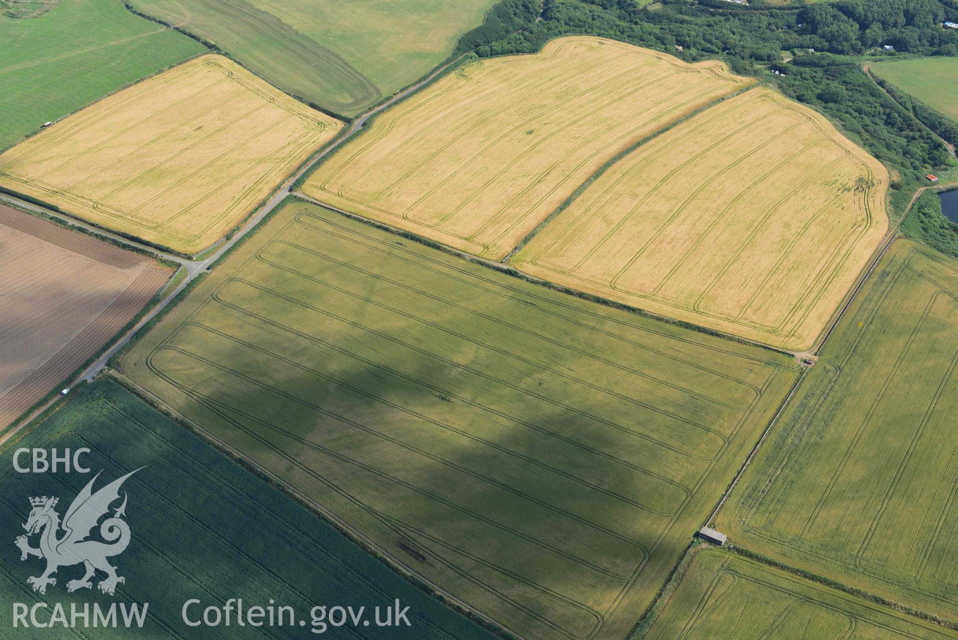 Cropmarks showing Longhouse circular enclosure. © Crown: CHERISH PROJECT 2017. Produced with EU funds through the Ireland Wales Co-operation Programme 2014-2023.