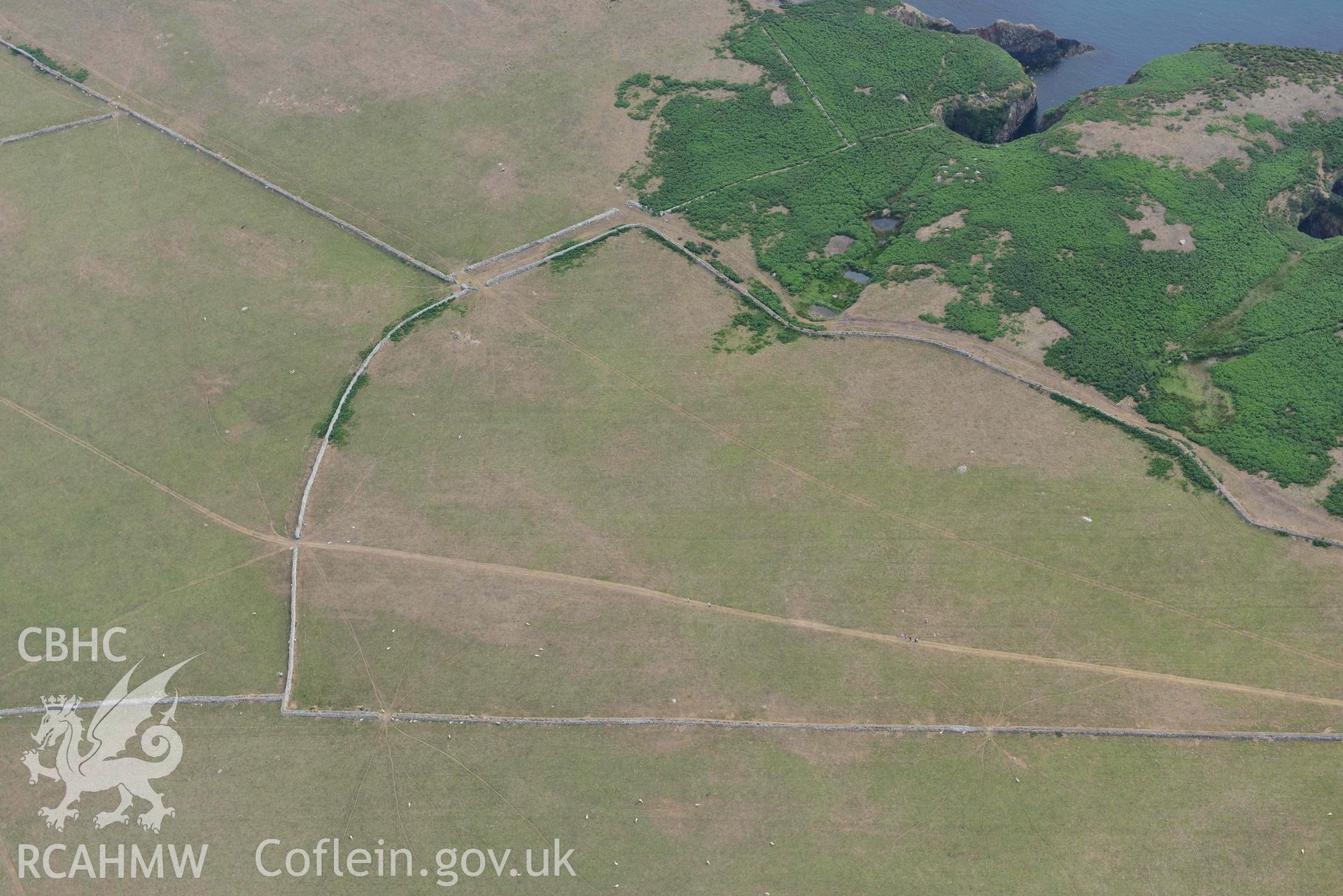 Ramsey Island, parchmarks north of the Farmhouse - SM702242. © Crown: CHERISH PROJECT 2017. Produced with EU funds through the Ireland Wales Co-operation Programme 2014-2023.