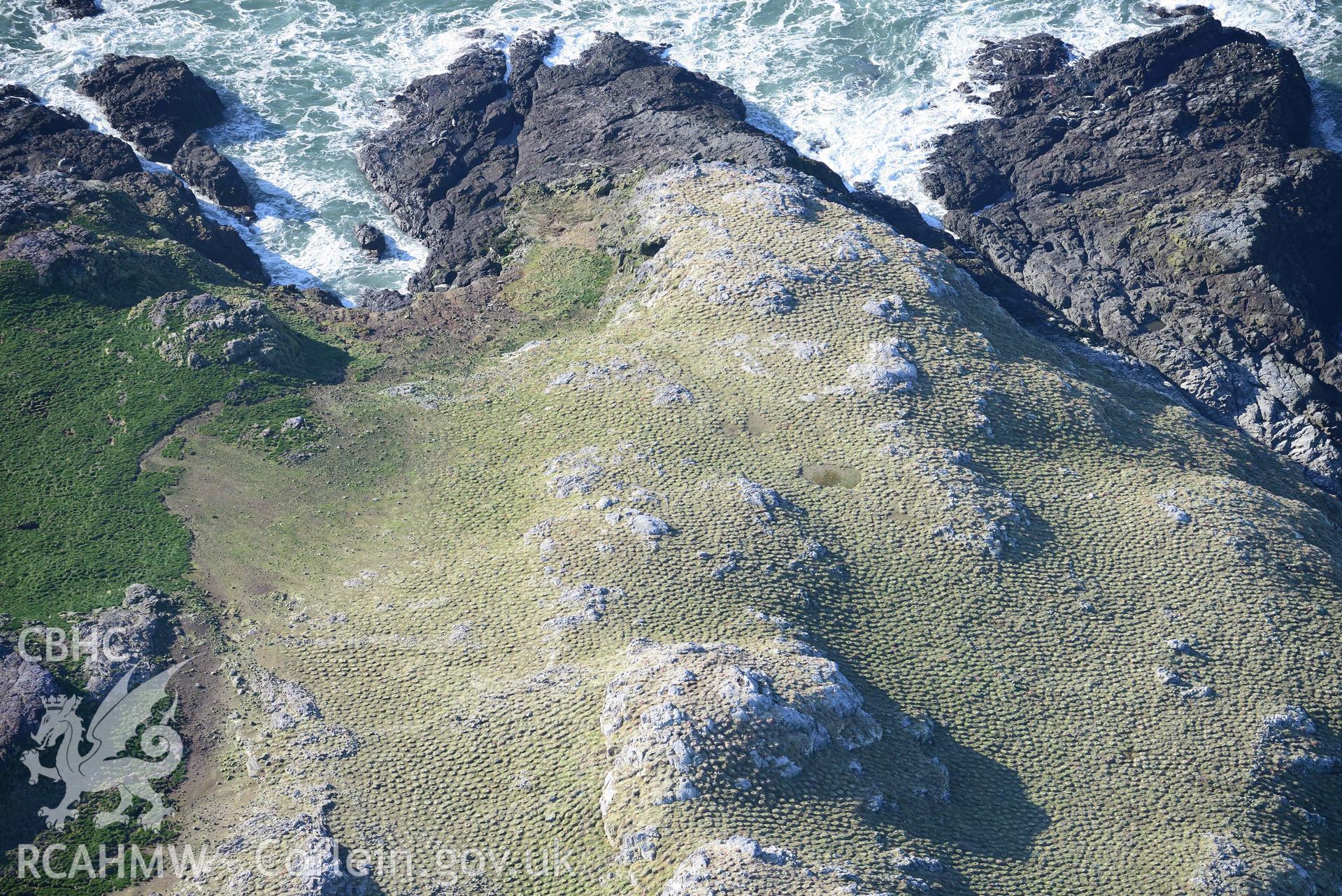 Aerial photo of D Shaped Enclosure, Grassholm Island.  Aerial reconnaissance survey for the CHERISH Project. Crown Copyright: CHERISH PROJECT 2018. Produced with EU funds through the Ireland Wales Co-operation Programme 2014-2020. All material made freely available through the Open Government Licence.