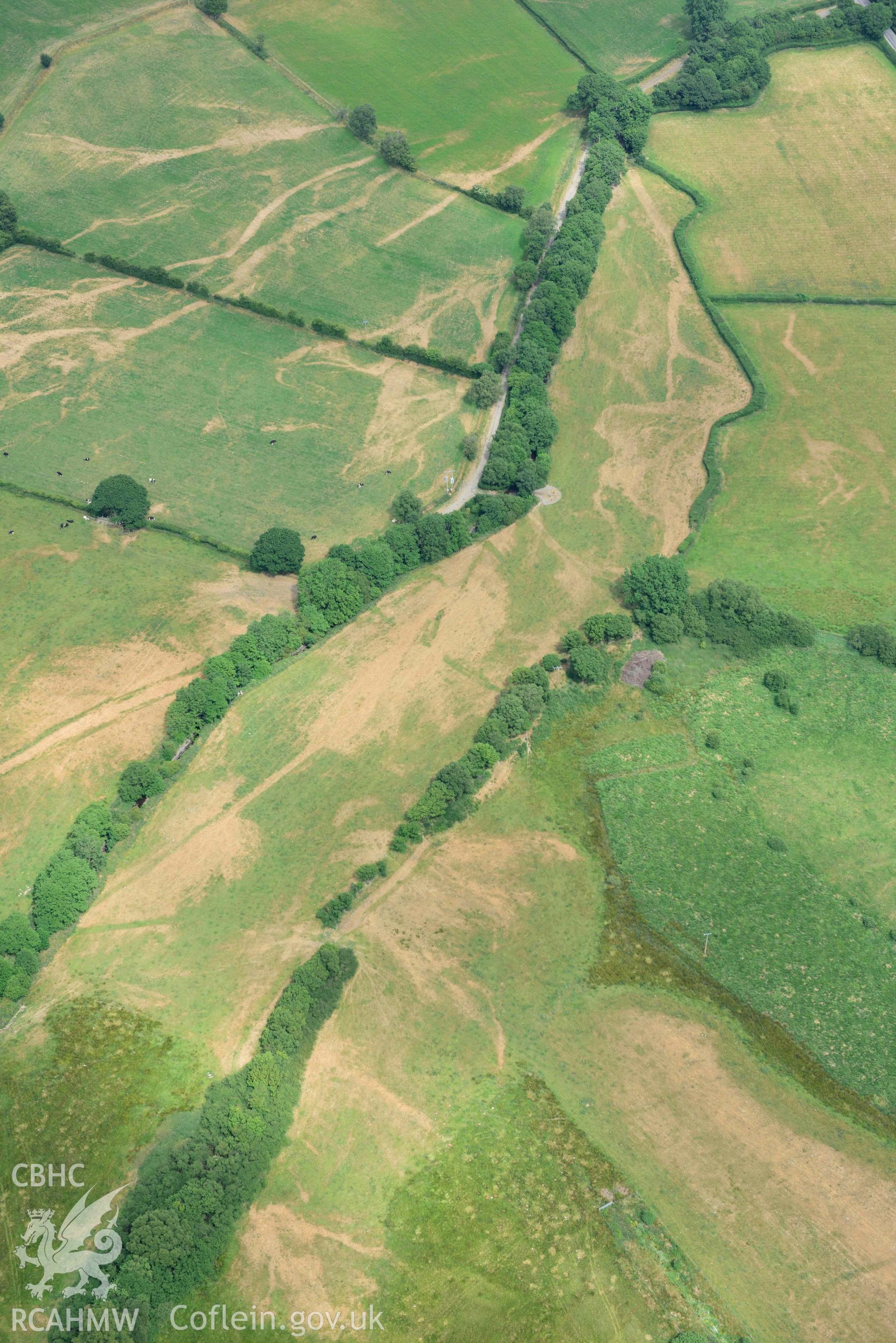 Aerial photograph: Pont Fflur to Old Abbey Farm; complex of drainage and trackway parchmarks. Crown: CHERISH PROJECT 2018. Produced with EU funds through the Ireland Wales Co-operation Programme 2014-2020 (NGR SN712646)