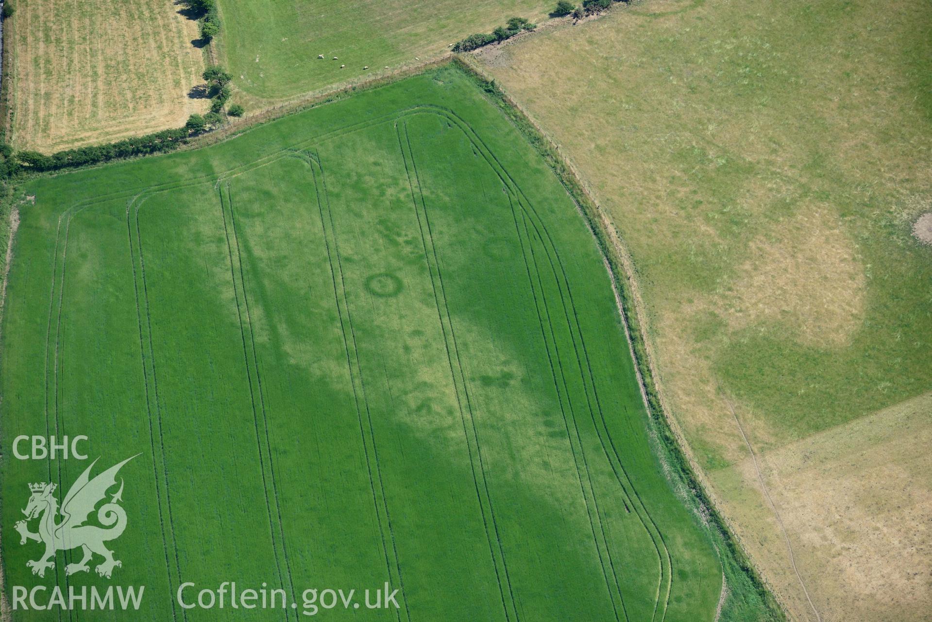 Aerial photograph: Trewen, Botwnnog. Cropmarks of a barrow and enclosures. Crown: CHERISH PROJECT 2018. Produced with EU funds through the Ireland Wales Co-operation Programme 2014-2020 (NGR SH262304)