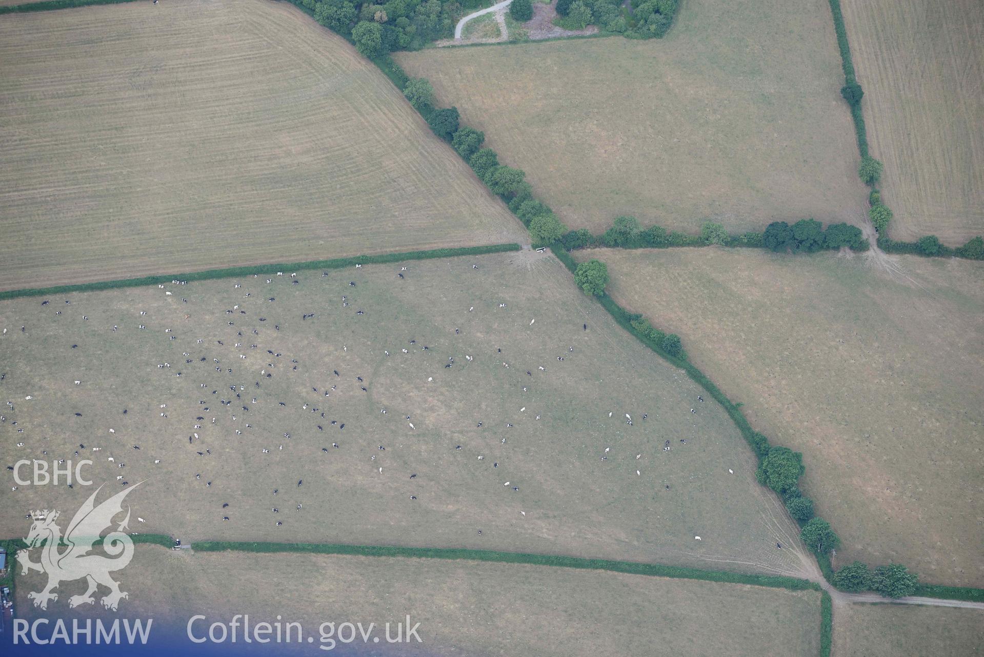 Aerial photograph: Penwaun or Pengelli-fach defended enclosure cropmark. Crown: CHERISH PROJECT 2018. Produced with EU funds through the Ireland Wales Co-operation Programme 2014-2020 (NGR: SN293405)