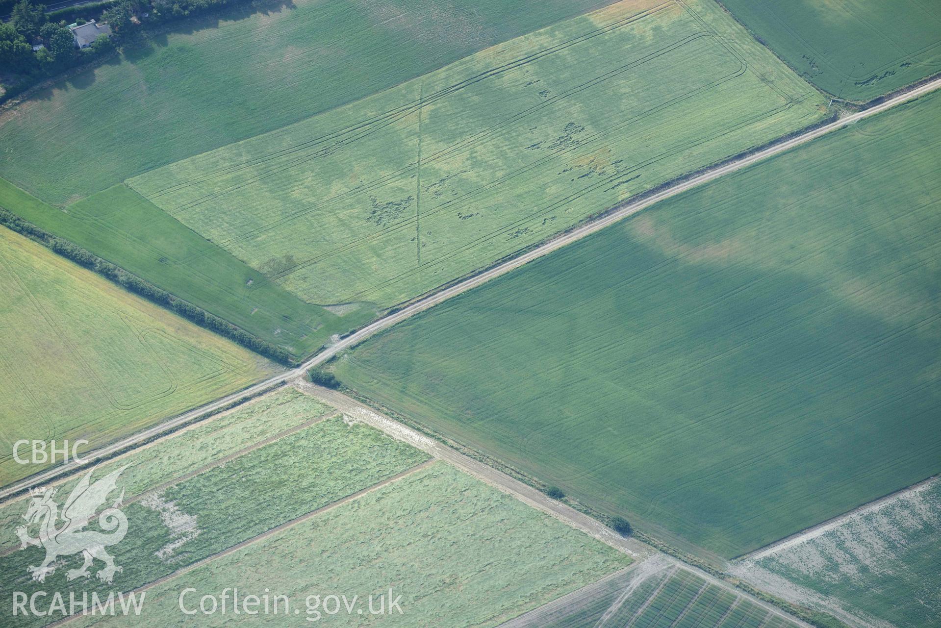 Aerial photograph: Llanon defended enclosure, Morfa Mawr. Crown: CHERISH PROJECT 2018. Produced with EU funds through the Ireland Wales Co-operation Programme 2014-2020 (NGR: SN505662)