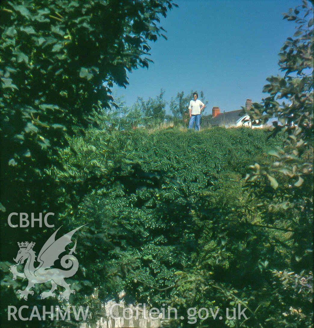 Hirwaun Ironworks Tramroad Causeway with Bunty Richards, one of the first female Royal Commission Investigators on the top (Slide ID: SRHNPRN34847S60)