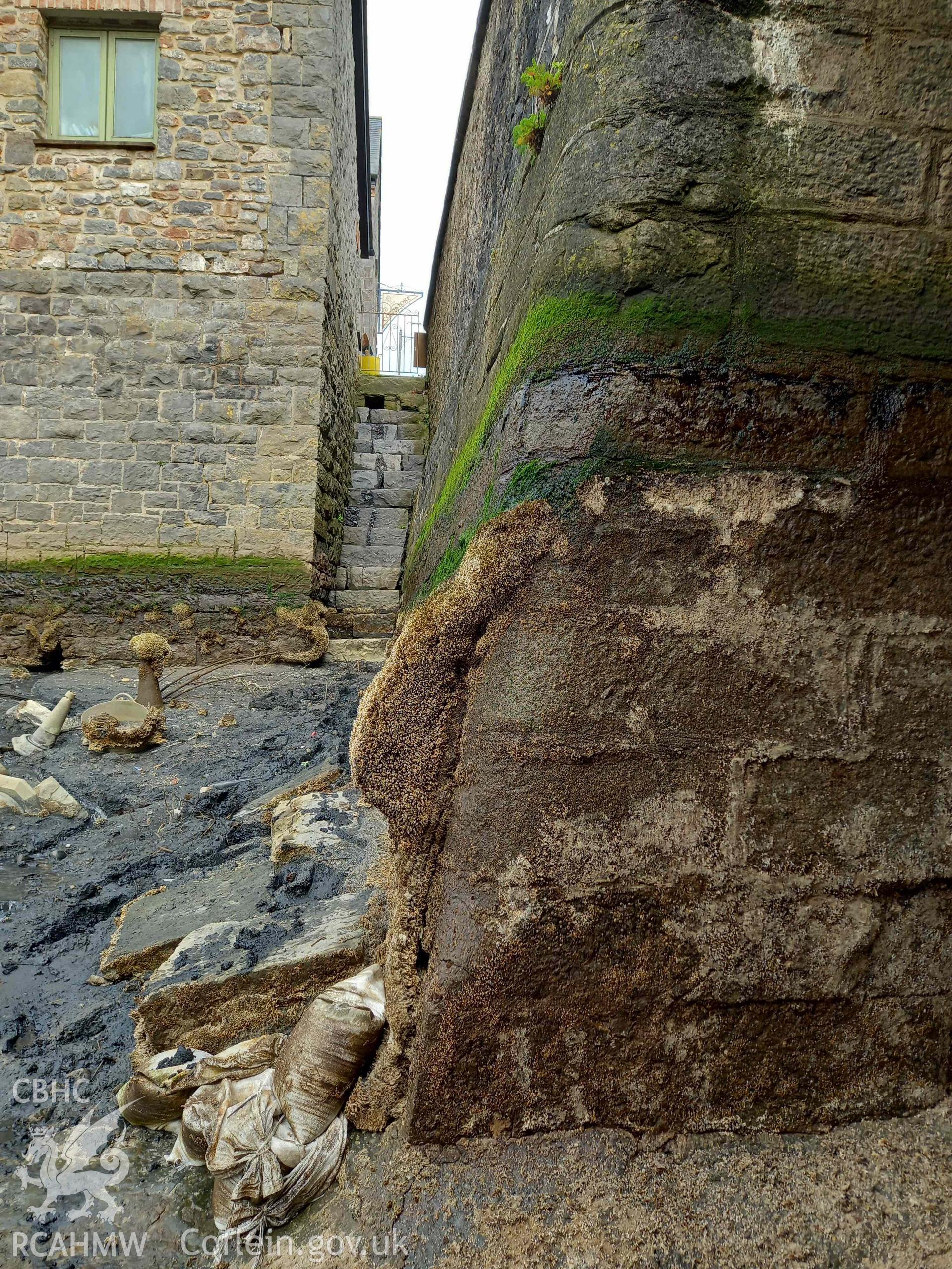 Photograph from a Heritage Impact Assessment for Mill Bridge, Pembroke. Dated 2023. Project: AW3077.