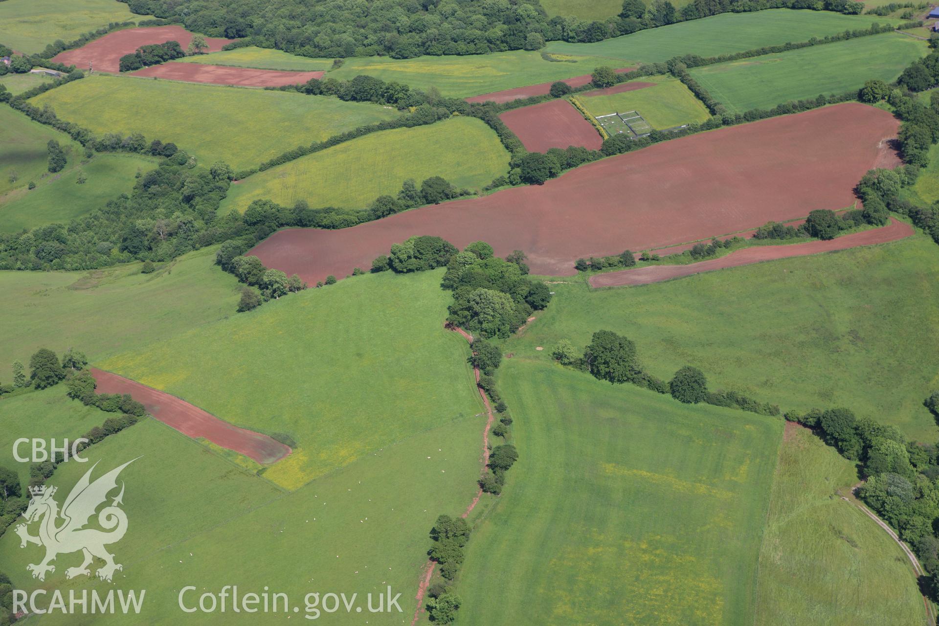 RCAHMW colour oblique aerial photograph of Goytre Wood Castle Mound. Taken on 11 June 2009 by Toby Driver