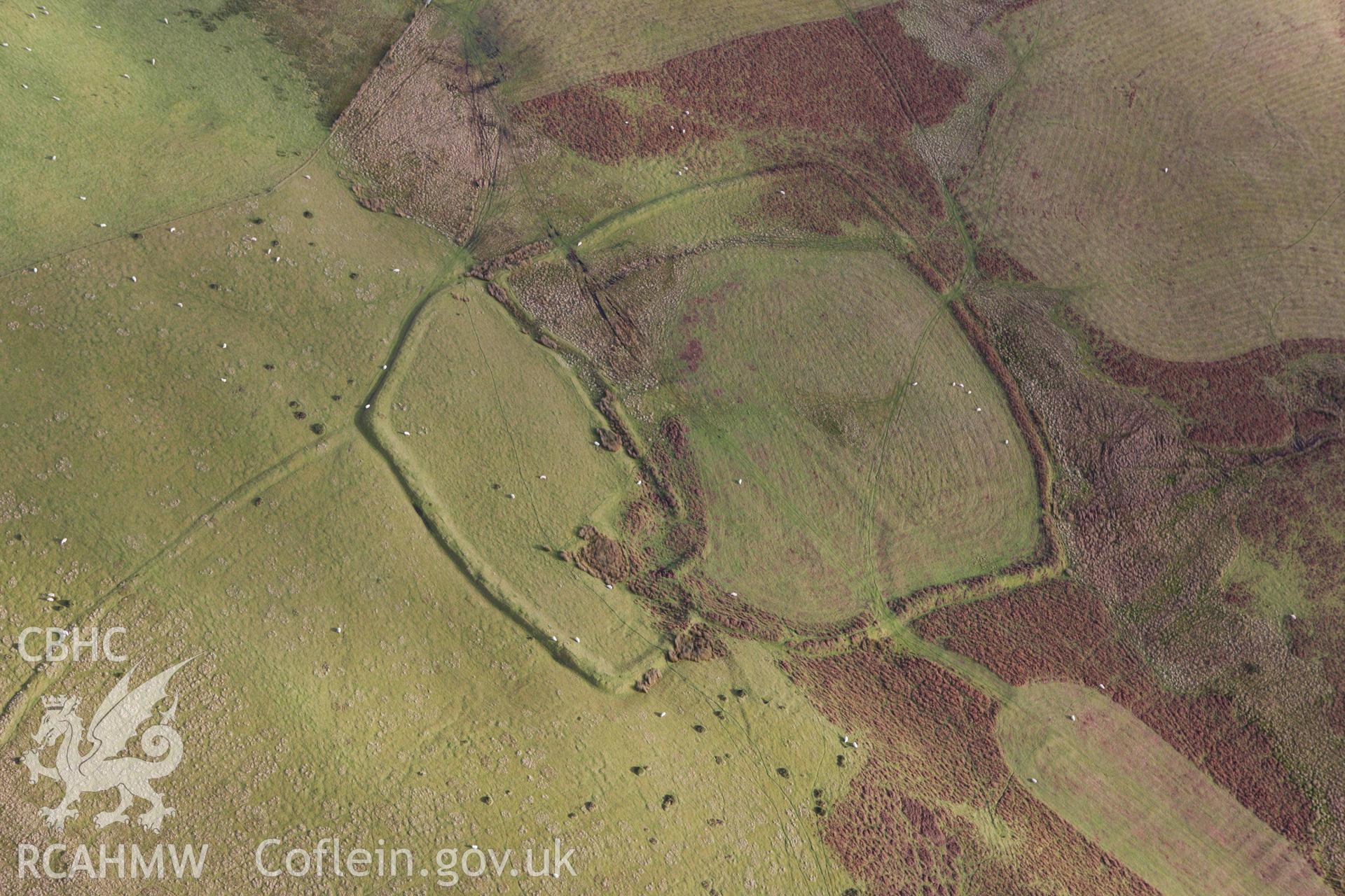 RCAHMW colour oblique aerial photograph of Castle Bank Enclosure Complex. Taken on 10 December 2009 by Toby Driver