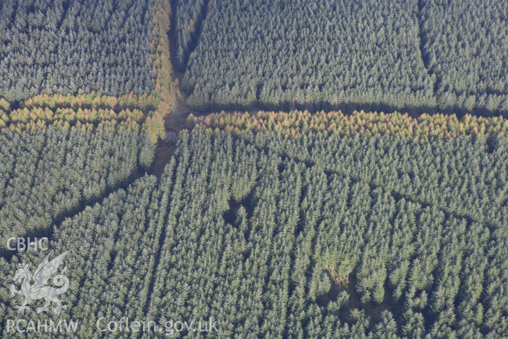 RCAHMW colour oblique aerial photograph of Garn Las. Taken on 14 October 2009 by Toby Driver