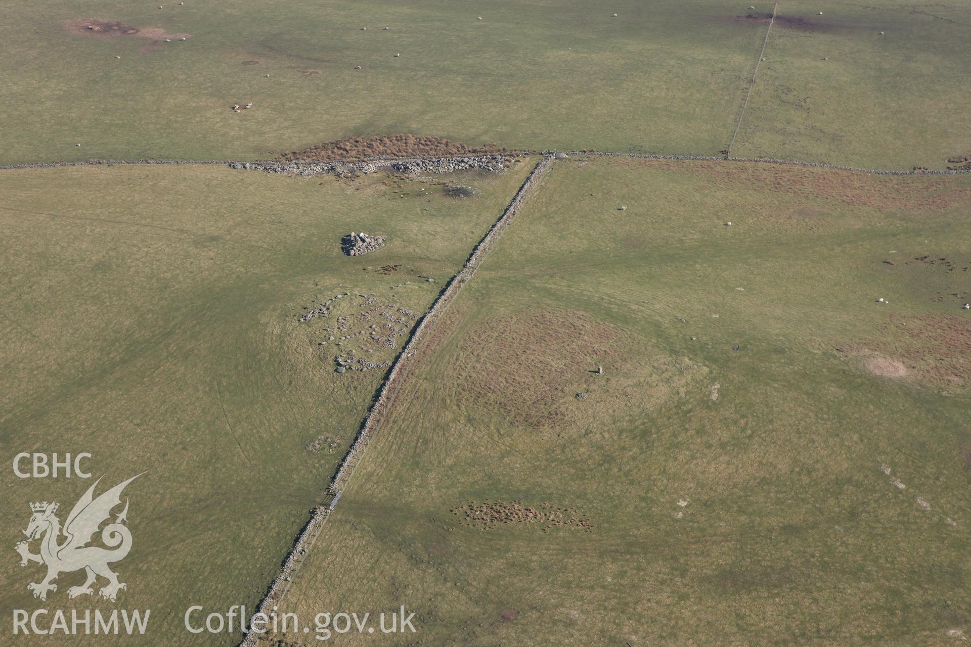 RCAHMW colour oblique photograph of Mynydd Rhyd Ddu enclosure. Taken by Toby Driver on 18/03/2009.