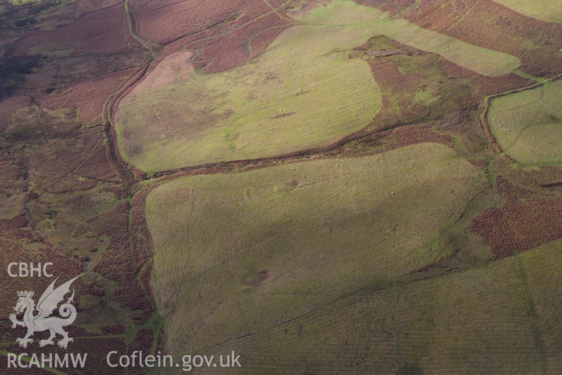 RCAHMW colour oblique aerial photograph of Castle Bank Enclosure Complex showing a house platform to the south-east of the main settlement. Taken on 10 December 2009 by Toby Driver