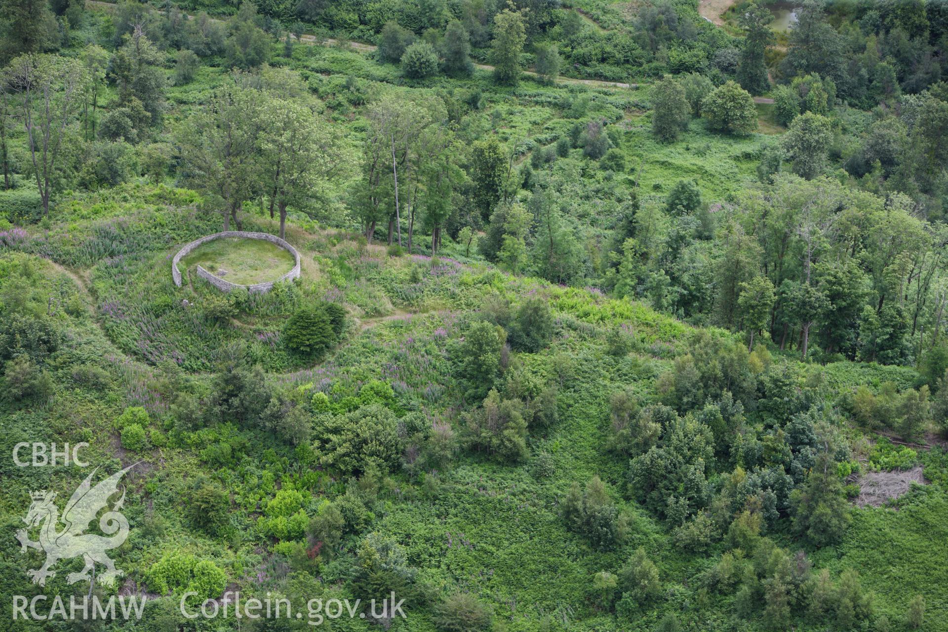 RCAHMW colour oblique aerial photograph of Craig Ruperra Motte. Taken on 09 July 2009 by Toby Driver