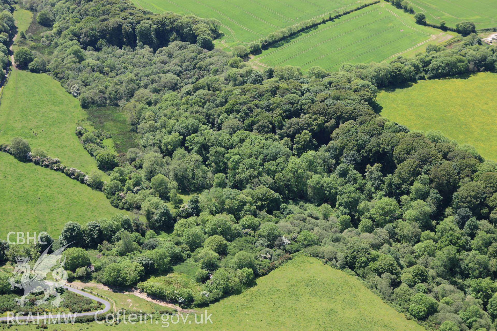 RCAHMW colour oblique aerial photograph of Denant Rath Defended Enclosure. Taken on 01 June 2009 by Toby Driver