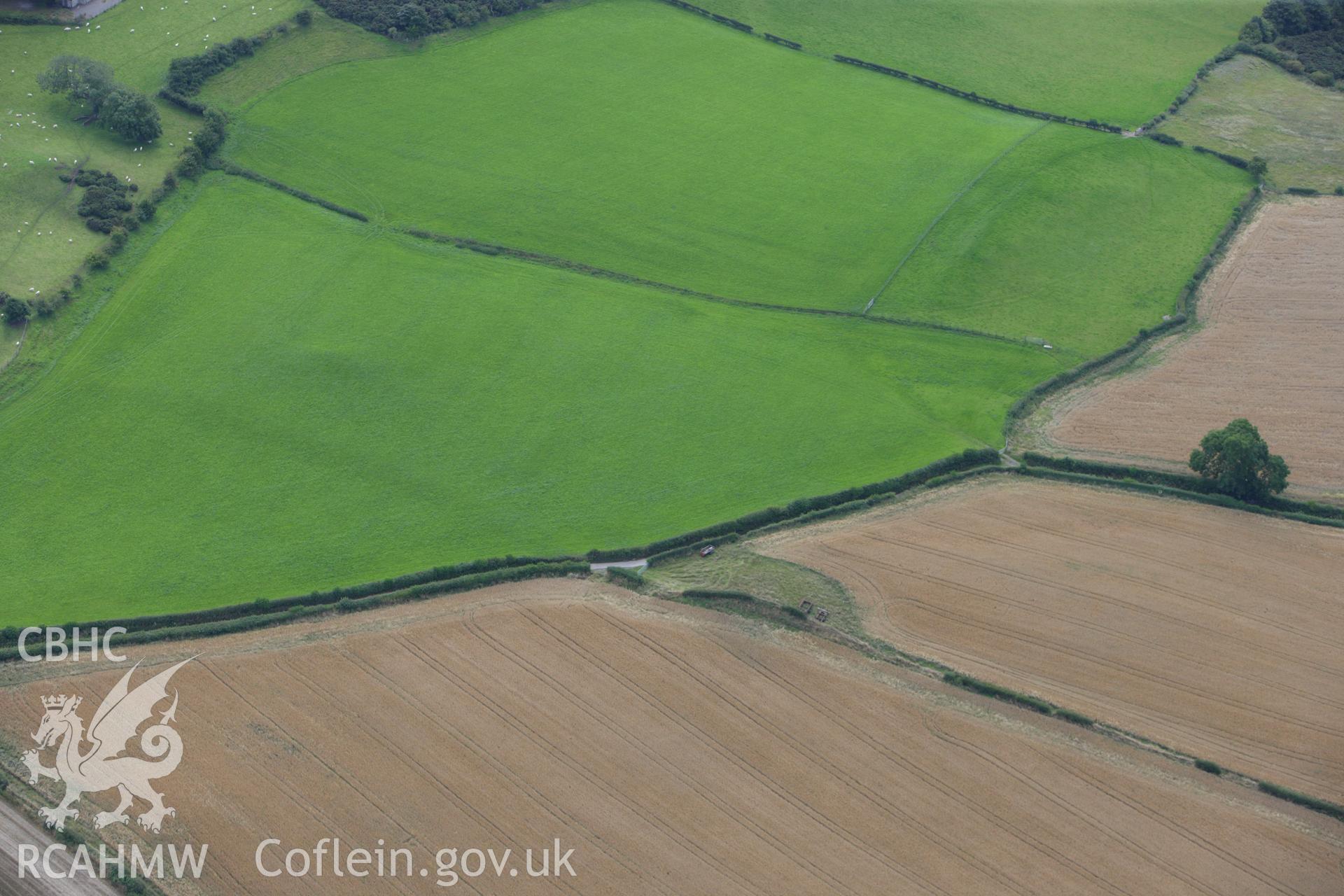 RCAHMW colour oblique aerial photograph of the possible barrow at Aelwyd Uchaf Cottage. Taken on 30 July 2009 by Toby Driver
