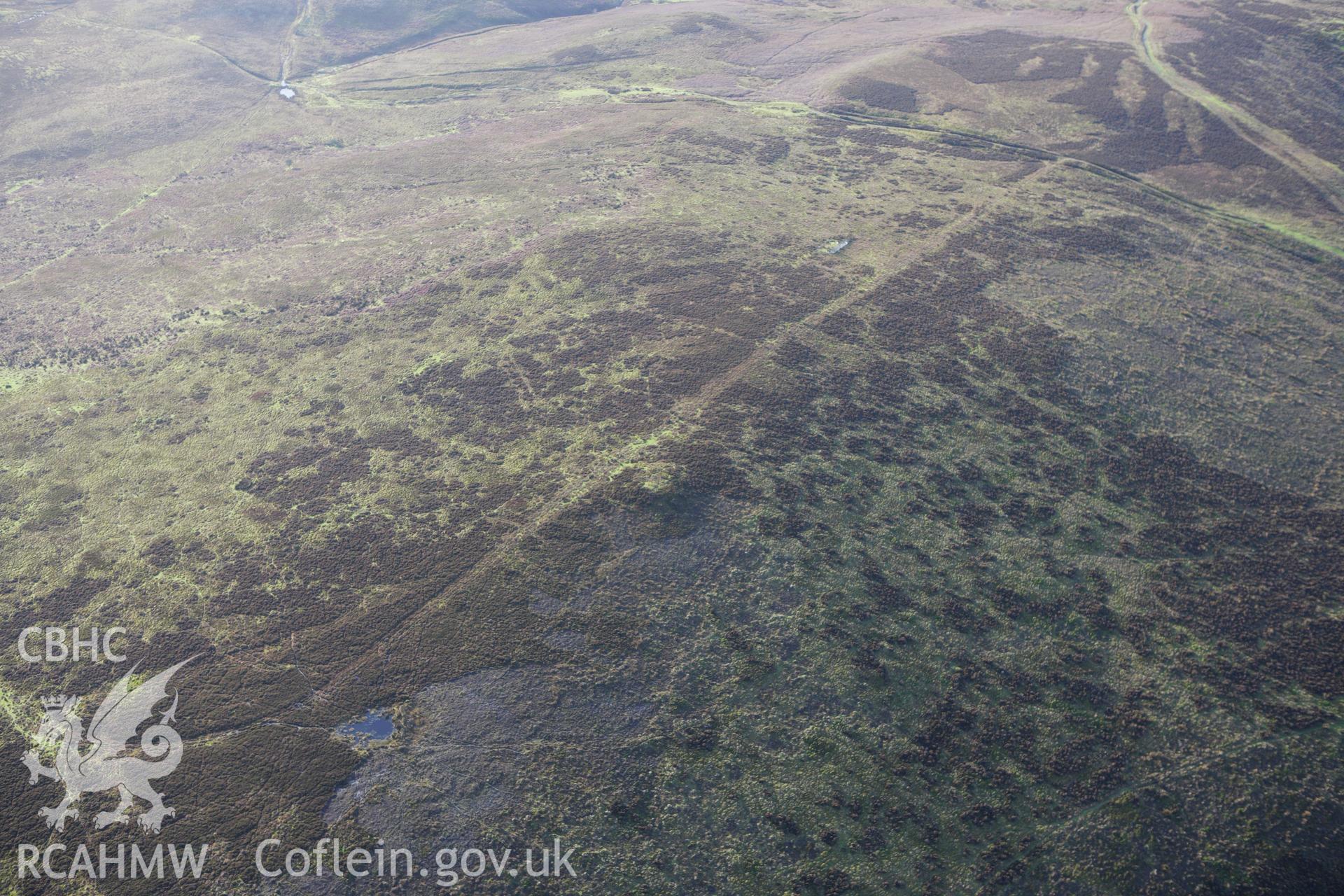 RCAHMW colour oblique aerial photograph of Warren Hill Barrow. Taken on 10 December 2009 by Toby Driver