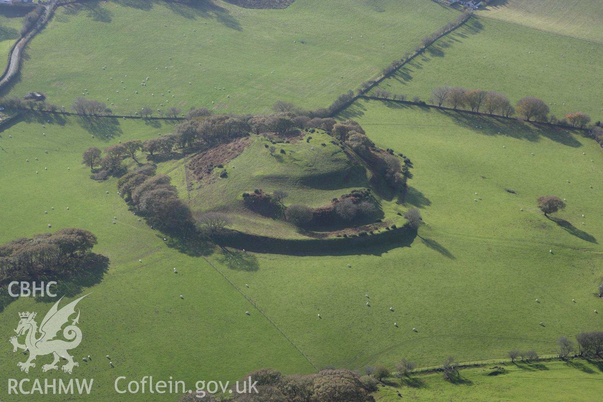 RCAHMW colour oblique aerial photograph of Castell Tregaron (Sunnyhill Wood Camp). Taken on 09 November 2009 by Toby Driver