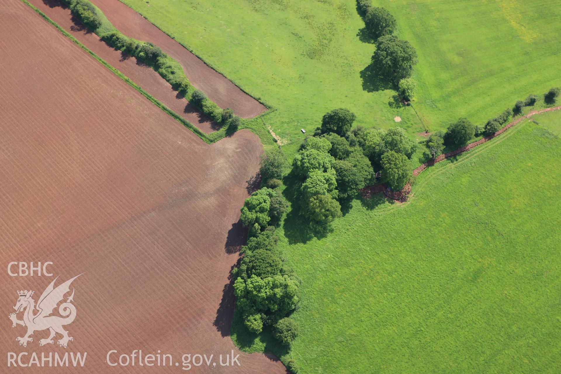 RCAHMW colour oblique aerial photograph of Goytre Wood Castle Mound. Taken on 11 June 2009 by Toby Driver