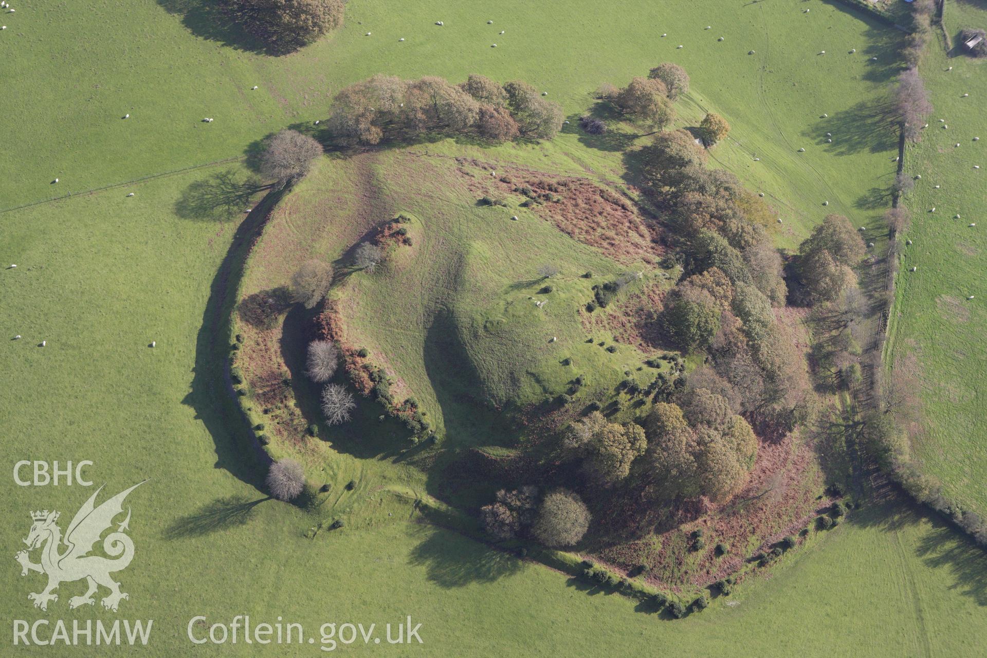 RCAHMW colour oblique aerial photograph of Castell Tregaron (Sunnyhill Wood Camp). Taken on 09 November 2009 by Toby Driver