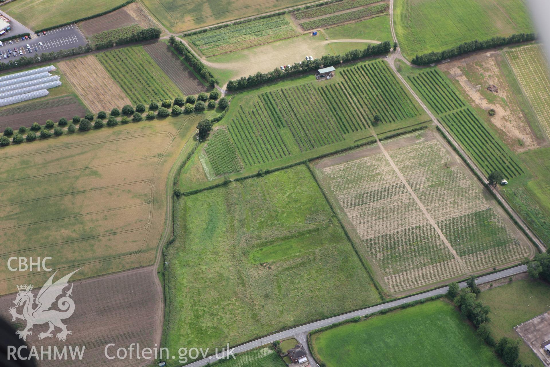 RCAHMW colour oblique aerial photograph of fishponds at Esp Hill. Taken on 08 July 2009 by Toby Driver