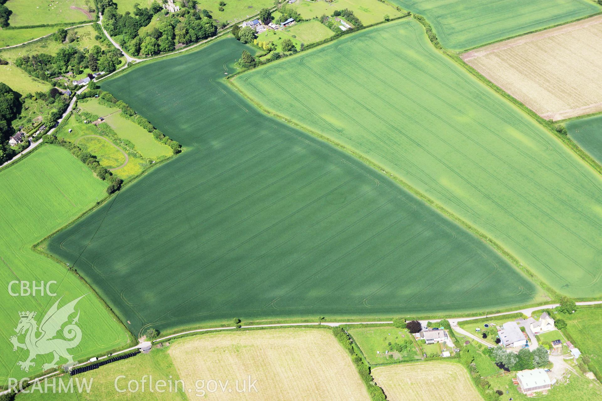 RCAHMW colour oblique aerial photograph of cropmark enclosures, Stapleton, ENGLAND. Taken on 11 June 2009 by Toby Driver