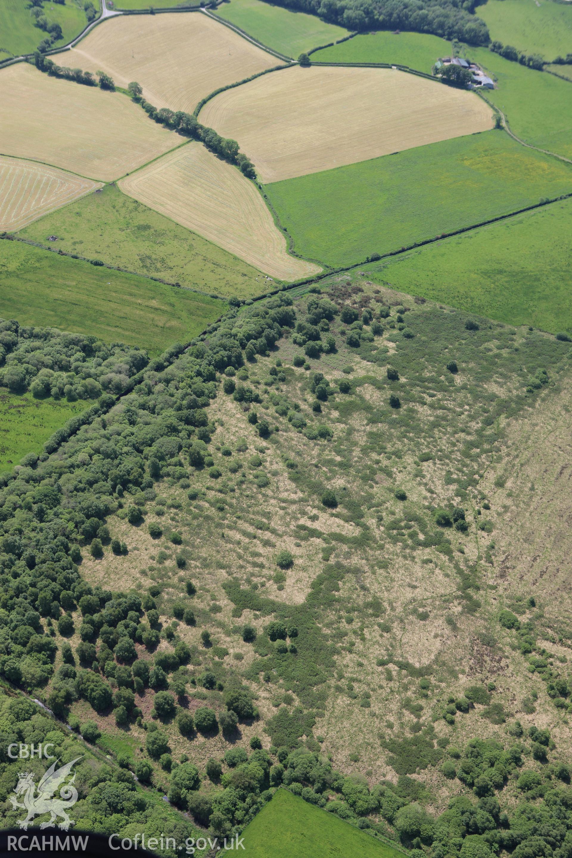 RCAHMW colour oblique aerial photograph of Llangynfelin Timber Trackway. Taken on 02 June 2009 by Toby Driver