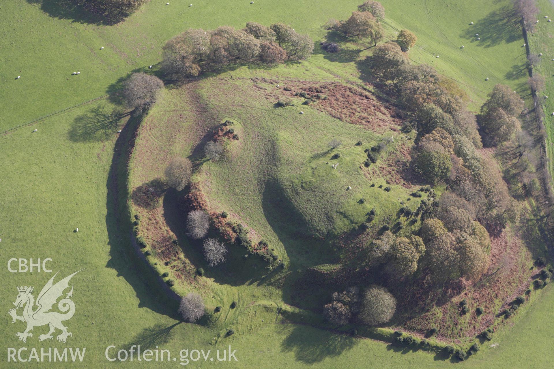 RCAHMW colour oblique aerial photograph of Castell Tregaron (Sunnyhill Wood Camp). Taken on 09 November 2009 by Toby Driver