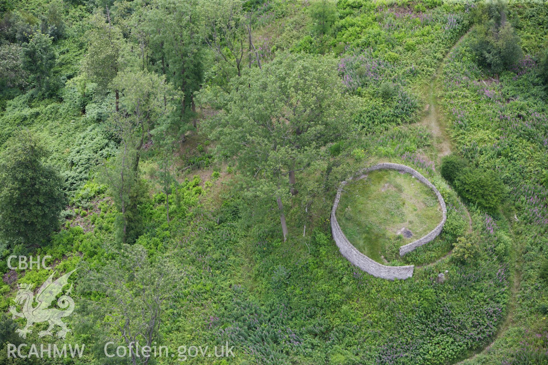 RCAHMW colour oblique aerial photograph of Craig Ruperra Motte. Taken on 09 July 2009 by Toby Driver