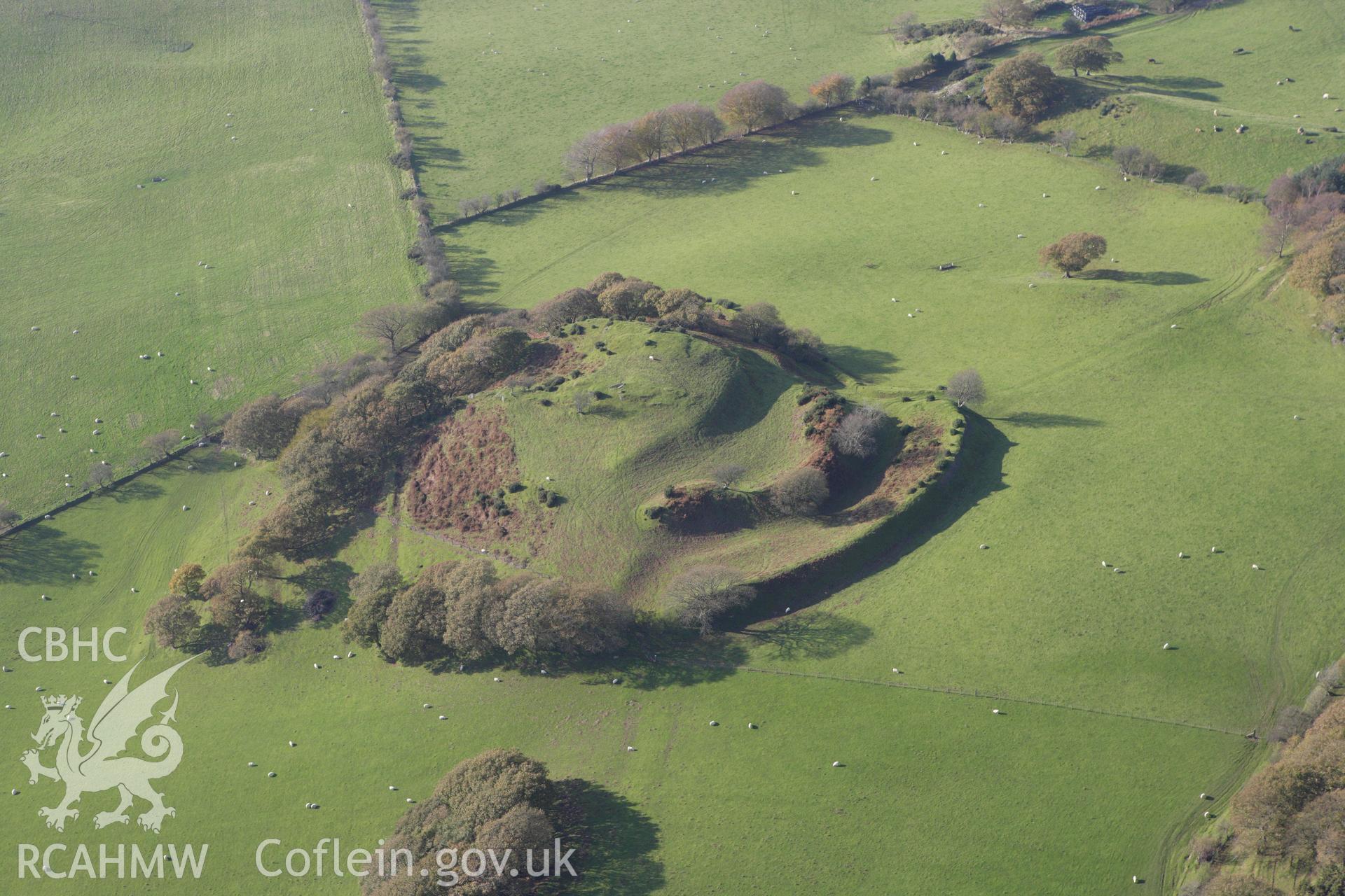 RCAHMW colour oblique aerial photograph of Castell Tregaron (Sunnyhill Wood Camp). Taken on 09 November 2009 by Toby Driver