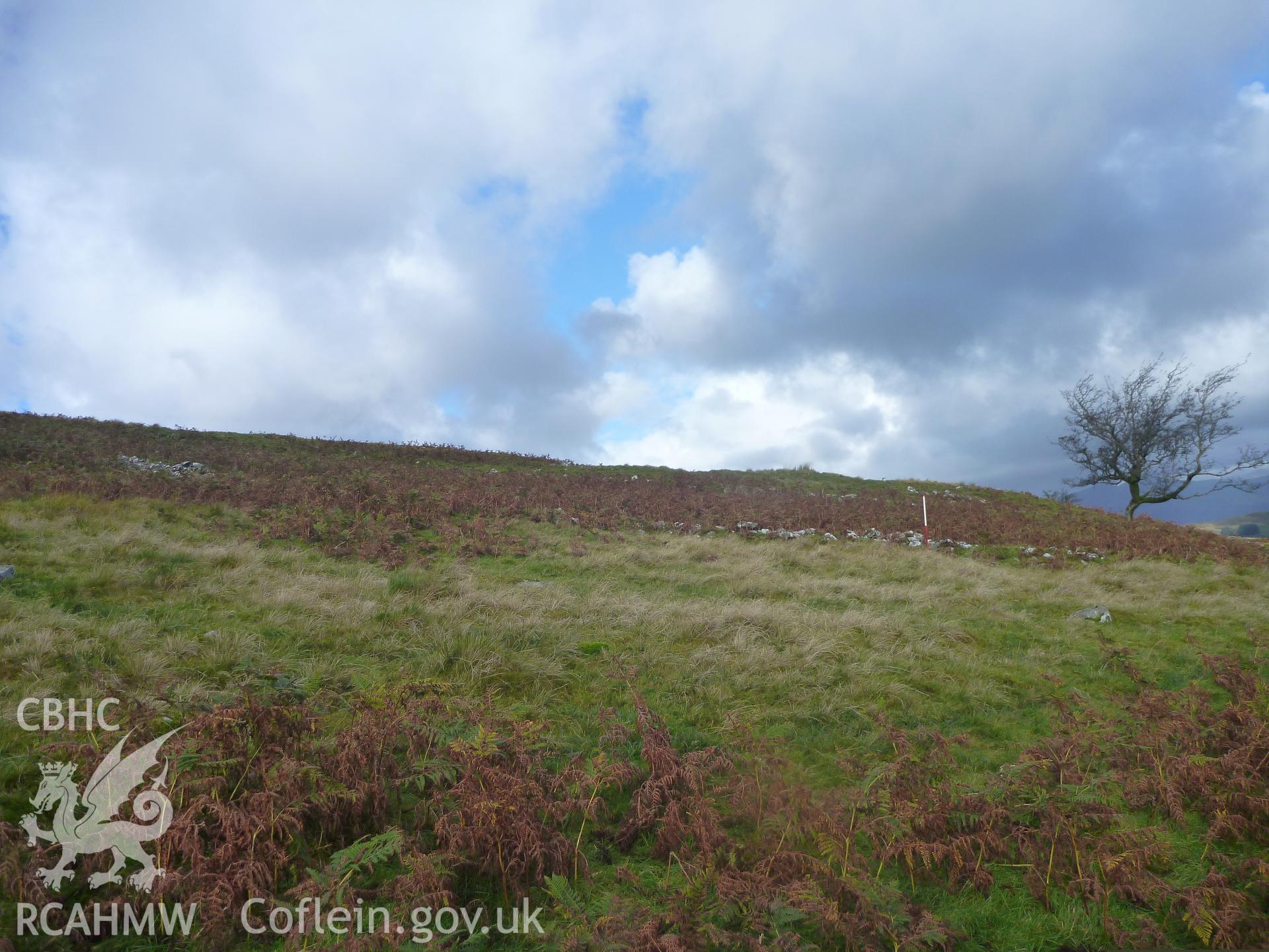 Ffridd Ddu Oval Enclosure I, viewed facing north