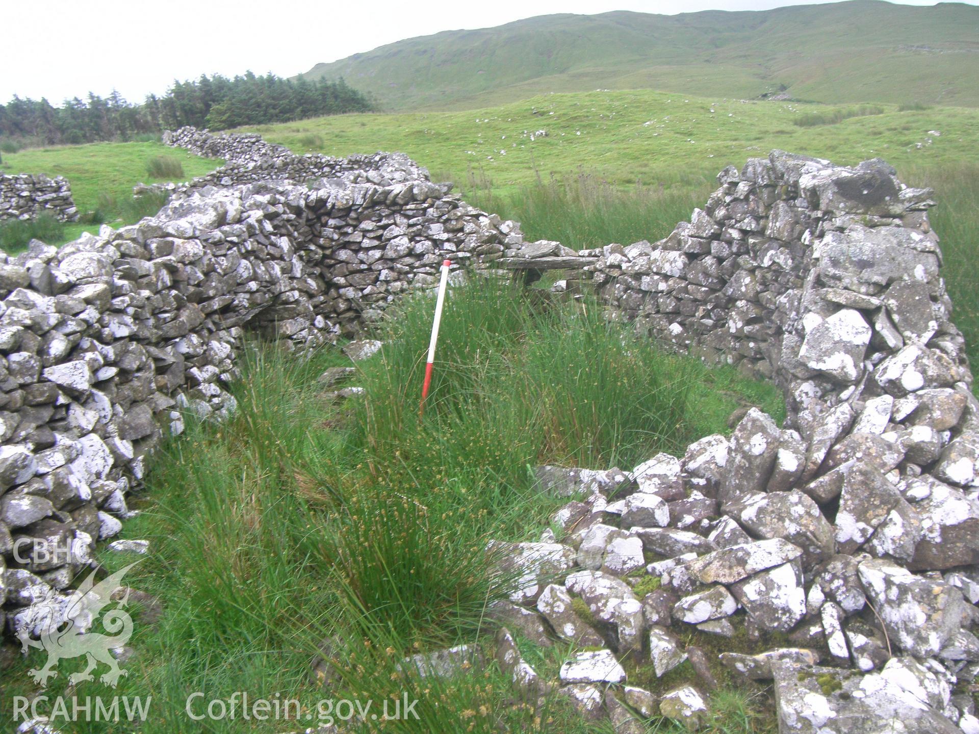 Moel yr Wden Sheep Fold IV, semi-circular pen viewed facing south