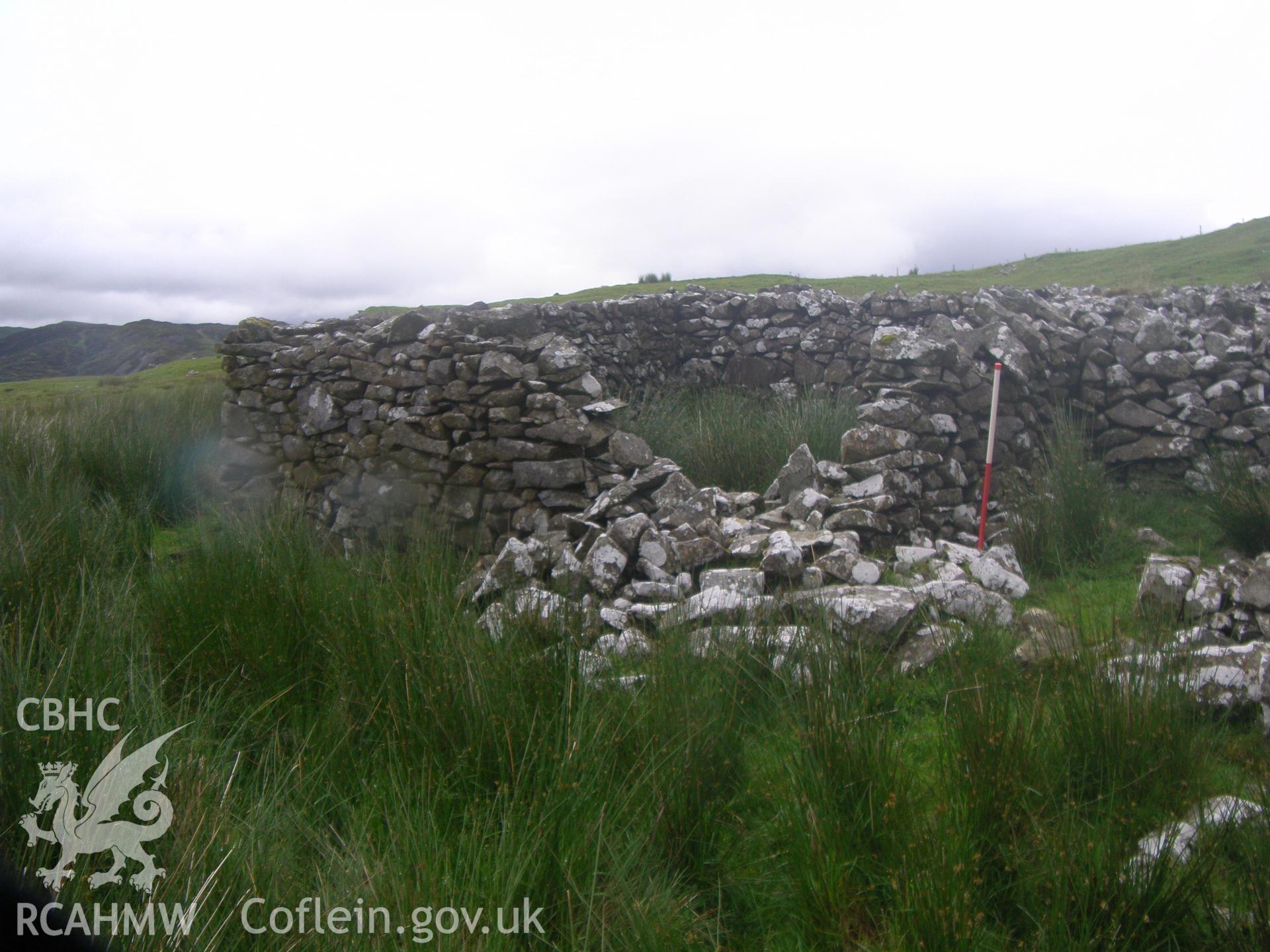 Moel yr Wden Sheep Fold IV, western pen 4 viewed facing northeast