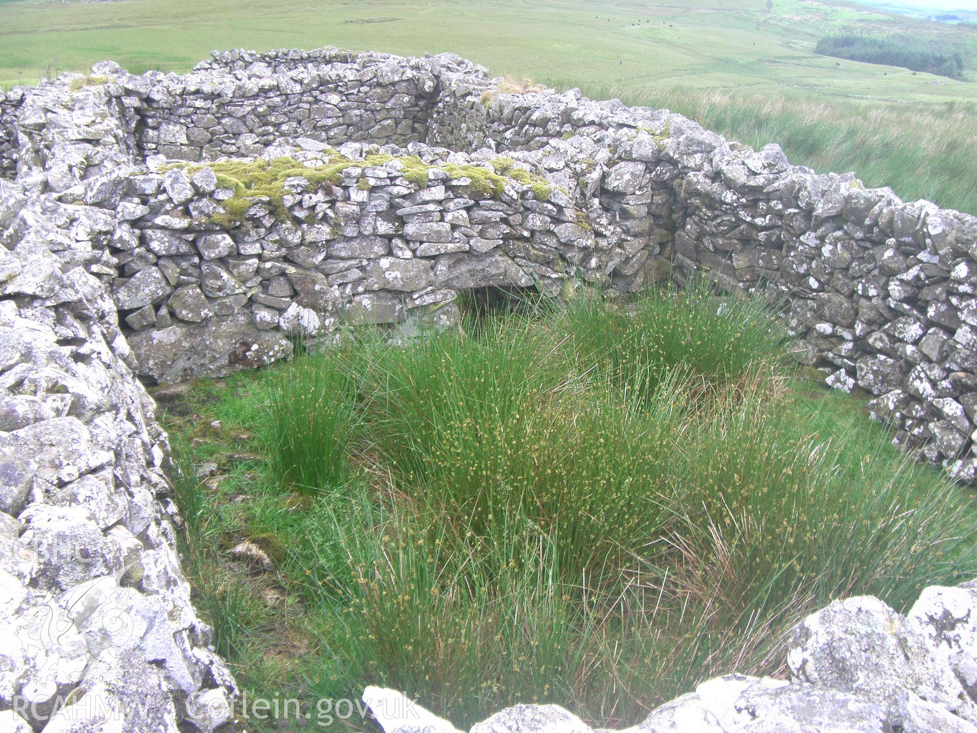 Moel yr Wden Sheep Fold IV, western pens viewed facing west