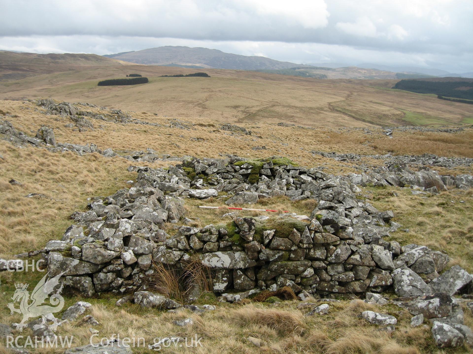 South Of Llyn Gelli-Gain Structure I, viewed facing south